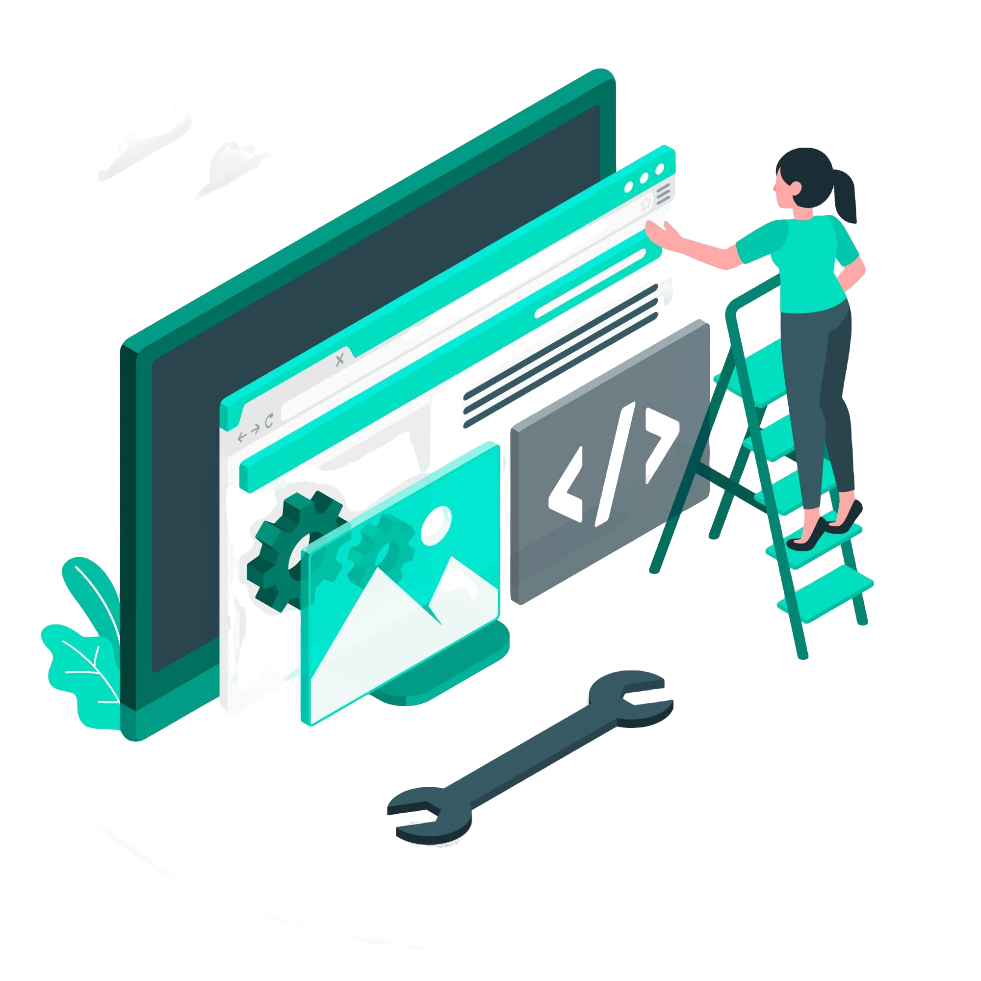 Custom Website Development image